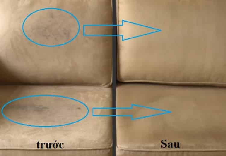 5 Mẹo vệ sinh nhà cửa cực chất chị em nào cũng nên biết - loại bỏ các nấm mốc trên sofa